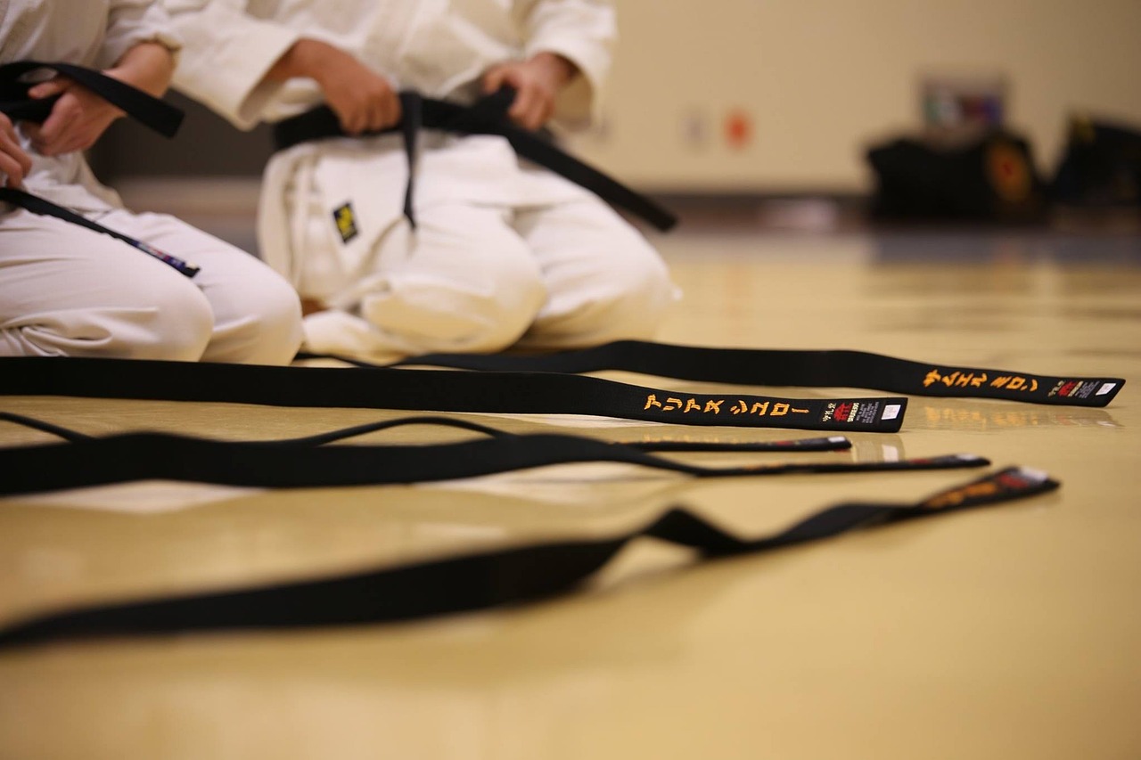 Pas karate